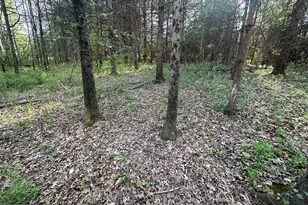 447 Hunterstown Hampton Rd, Gettysburg, PA 17325 - Photo 58