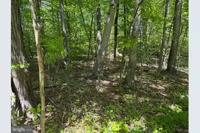 14 Deep Hollow Trl, Fairfield, PA 17320 - Photo 4