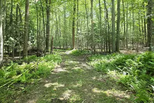 1178 Church Rd, Orrtanna, PA 17353 - Photo 66