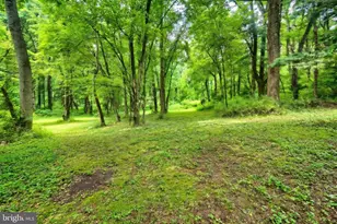 700 White Oak Tree Rd, Gardners, PA 17324 - Photo 22