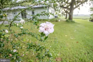 60 Pine Grove Rd, Hanover, PA 17331 - Photo 8