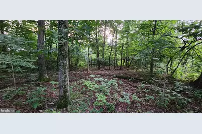 25 Freedom Trl Trail, Fairfield, PA 17320 - Photo 4
