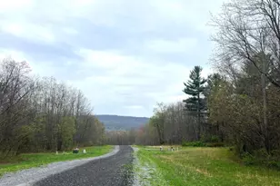 Lot #12 Ridge Way Dr, Everett, PA 15537 - Photo 1