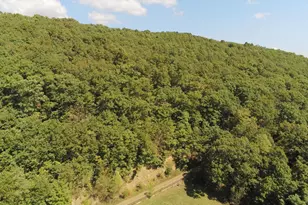 133 Morral Dr, Everett, PA 15537 - Photo 42