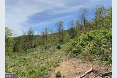 Lot 6 Polecat Hollow Road, Hopewell, PA 16650 - Photo 16