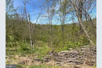 Lot 6 Polecat Hollow Road, Hopewell, PA 16650 - Photo 2