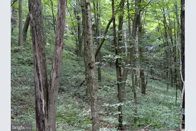 0 Berkey Hollow Road, Alum Bank, PA 15521 - Photo 10