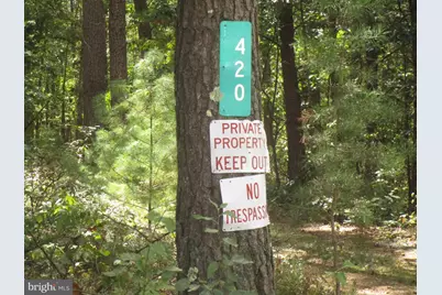 420 Green Mountain, Clearville, PA 15535 - Photo 10