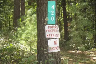 420 Green Mountain, Clearville, PA 15535 - Photo 10