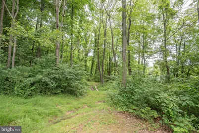 300 Beegle Road, Everett, PA 15537 - Photo 54