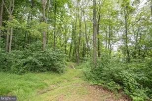 300 Beegle Rd, Everett, PA 15537 - Photo 54