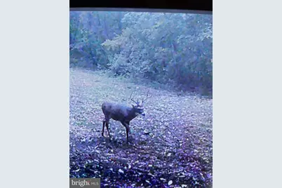 300 Beegle Road, Everett, PA 15537 - Photo 96