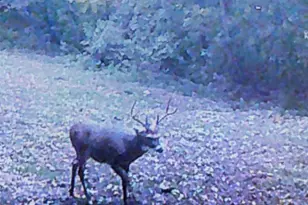 300 Beegle Rd, Everett, PA 15537 - Photo 96