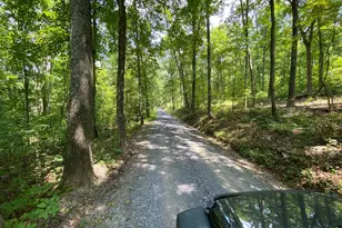 1790 Monroe Mountain Rd, Clearville, PA 15535 - Photo 1