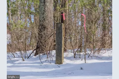 1892 Milk and Water N, Everett, PA 15537 - Photo 54