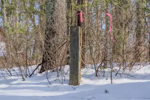 1892 Milk and Water N, Everett, PA 15537 - Photo 54