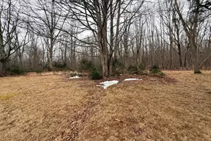 119 Grand Cyn Rd, Hopewell, PA 16650 - Photo 10