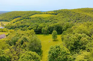 930 Osman Rd, Alum Bank, PA 15521 - Photo 54