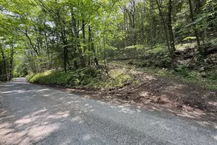 930 Osman Rd, Alum Bank, PA 15521 - Photo 46