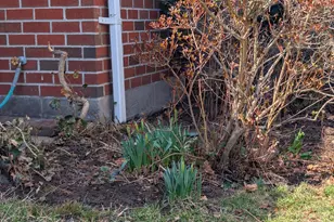 237 Water St, Hyndman, PA 15545 - Photo 38