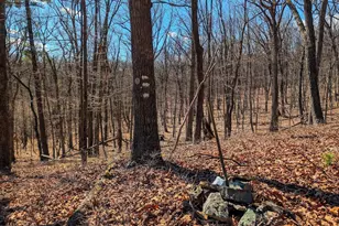 364 Valentine Acres Rd, Clearville, PA 15535 - Photo 58