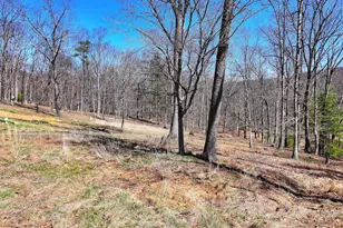 364 Valentine Acres Rd, Clearville, PA 15535 - Photo 48