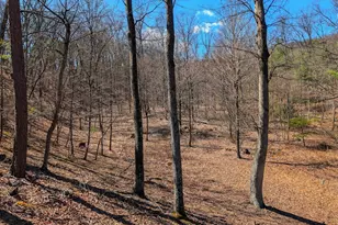 364 Valentine Acres Rd, Clearville, PA 15535 - Photo 90