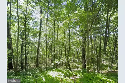00 Weavers Wood Road, Saxton, PA 16678 - Photo 4