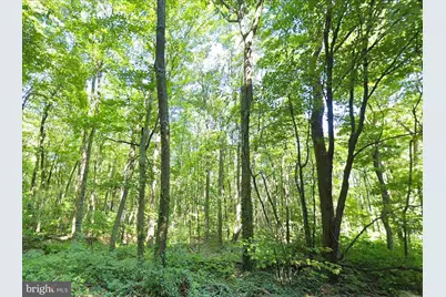 00 Weavers Wood Road, Saxton, PA 16678 - Photo 6