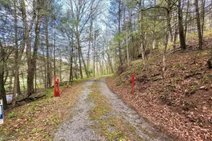 308 Camp Hill Rd, Buffalo Mills, PA 15534 - Photo 34