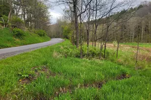 308 Camp Hill Rd, Buffalo Mills, PA 15534 - Photo 38