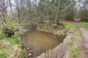308 Camp Hill Rd, Buffalo Mills, PA 15534 - Photo 36