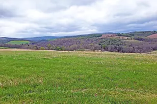 308 Camp Hill Rd, Buffalo Mills, PA 15534 - Photo 28
