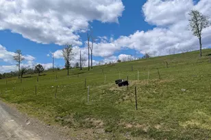 258 Lovely Rd, Alum Bank, PA 15521 - Photo 60