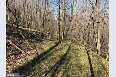 129+/- Acres Black Hollow Rd, Schellsburg, PA 15559 - Photo 56