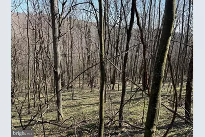 129+/- Acres Black Hollow Rd, Schellsburg, PA 15559 - Photo 44