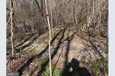 129+/- Acres Black Hollow Rd, Schellsburg, PA 15559 - Photo 30
