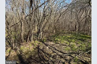 129+/- Acres Black Hollow Rd, Schellsburg, PA 15559 - Photo 32