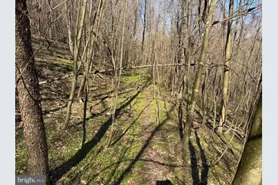 129+/- Acres Black Hollow Rd, Schellsburg, PA 15559 - Photo 54