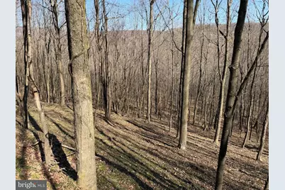 129+/- Acres Black Hollow Rd, Schellsburg, PA 15559 - Photo 48