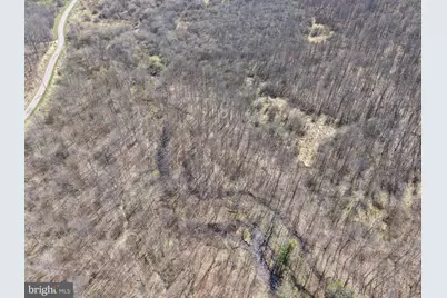 129+/- Acres Black Hollow Rd, Schellsburg, PA 15559 - Photo 14