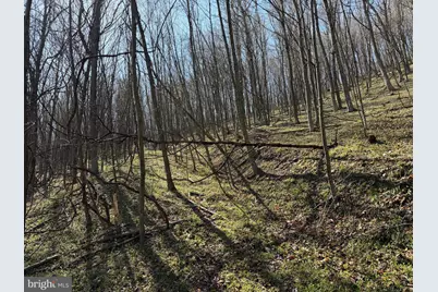 129+/- Acres Black Hollow Rd, Schellsburg, PA 15559 - Photo 52