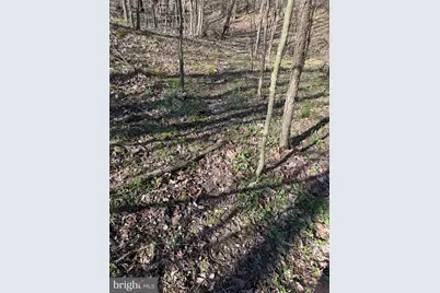 129+/- Acres Black Hollow Rd, Schellsburg, PA 15559 - Photo 60