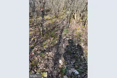 129+/- Acres Black Hollow Rd, Schellsburg, PA 15559 - Photo 64