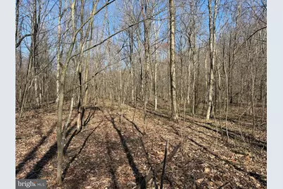 129+/- Acres Black Hollow Rd, Schellsburg, PA 15559 - Photo 26