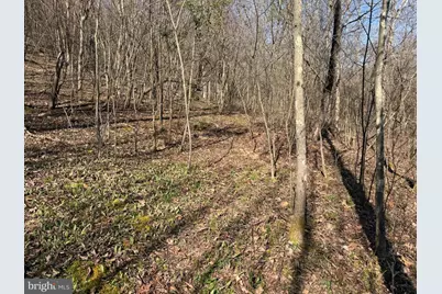 129+/- Acres Black Hollow Rd, Schellsburg, PA 15559 - Photo 36