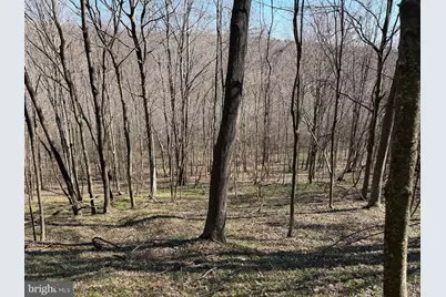129+/- Acres Black Hollow Rd, Schellsburg, PA 15559 - Photo 46