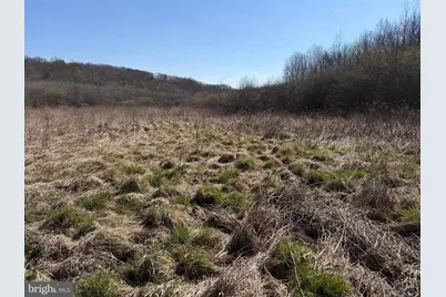 129+/- Acres Black Hollow Rd, Schellsburg, PA 15559 - Photo 68