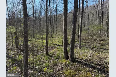 129+/- Acres Black Hollow Rd, Schellsburg, PA 15559 - Photo 28