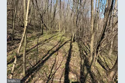 129+/- Acres Black Hollow Rd, Schellsburg, PA 15559 - Photo 42